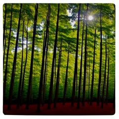 Green Forest Jungle Trees Nature Sunny Uv Print Square Tile Coaster 