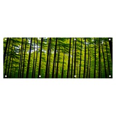 Green Forest Jungle Trees Nature Sunny Banner And Sign 8  X 3  by Ravend