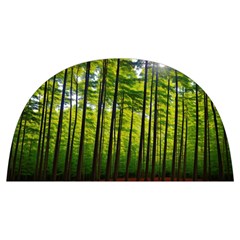 Green Forest Jungle Trees Nature Sunny Anti Scalding Pot Cap by Ravend