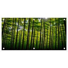 Green Forest Jungle Trees Nature Sunny Banner And Sign 4  X 2  by Ravend