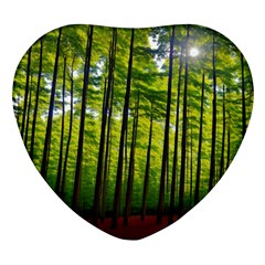 Green Forest Jungle Trees Nature Sunny Heart Glass Fridge Magnet (4 Pack)