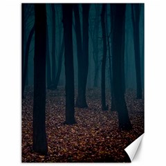 Dark Forest Nature Canvas 12  X 16  by Ravend