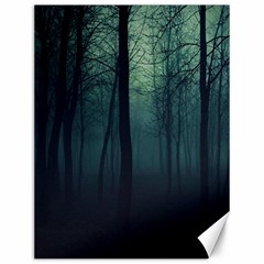 Dark Forest Canvas 12  x 16 