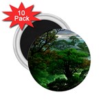 Jungle Forreast Landscape Nature 2.25  Magnets (10 pack)  Front