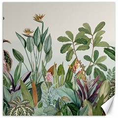 Tropical Jungle Plants Canvas 12  X 12  by Ravend