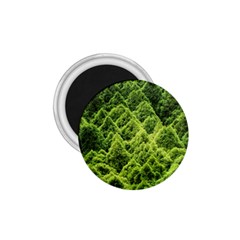 Green Pine Forest 1 75  Magnets by Ravend