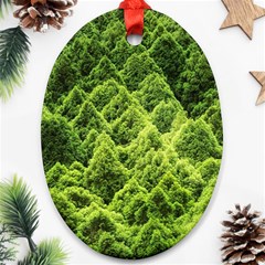 Green Pine Forest Ornament (oval) by Ravend