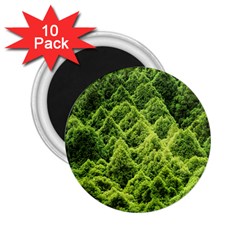 Green Pine Forest 2 25  Magnets (10 Pack)  by Ravend