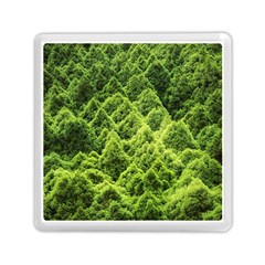 Green Pine Forest Memory Card Reader (square)