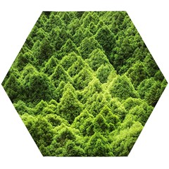 Green Pine Forest Wooden Puzzle Hexagon by Ravend