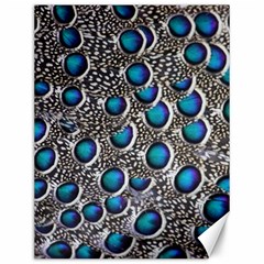 Peacock Pattern Close Up Plumage Canvas 12  X 16  by Celenk