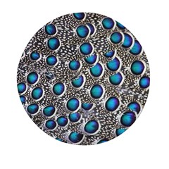 Peacock Pattern Close Up Plumage Mini Round Pill Box (pack Of 3) by Celenk