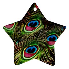 Peacock Feathers Color Plumage Star Ornament (two Sides) by Celenk