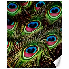 Peacock Feathers Color Plumage Canvas 16  X 20  by Celenk