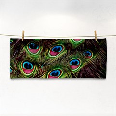 Peacock Feathers Color Plumage Hand Towel by Celenk