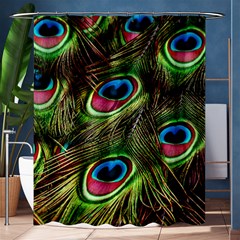 Peacock Feathers Color Plumage Shower Curtain 60  X 72  (medium)  by Celenk