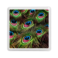 Peacock Feathers Color Plumage Memory Card Reader (square) by Celenk