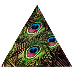 Peacock Feathers Color Plumage Wooden Puzzle Triangle by Celenk