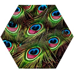 Peacock Feathers Color Plumage Wooden Puzzle Hexagon by Celenk