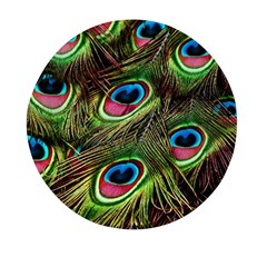 Peacock Feathers Color Plumage Mini Round Pill Box (pack Of 5) by Celenk