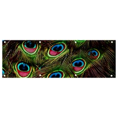 Peacock Feathers Color Plumage Banner And Sign 9  X 3  by Celenk