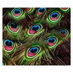 Peacock Feathers Color Plumage Premium Plush Fleece Blanket (Small) 50 x40  Blanket Front