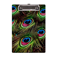 Peacock Feathers Color Plumage A5 Acrylic Clipboard by Celenk