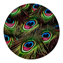 Peacock Feathers Color Plumage Round Glass Fridge Magnet (4 Pack)