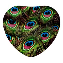 Peacock Feathers Color Plumage Heart Glass Fridge Magnet (4 Pack) by Celenk