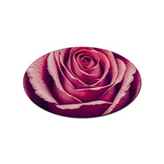 Beautiful Beauty Flower Bloom Sticker (oval) by Vaneshop