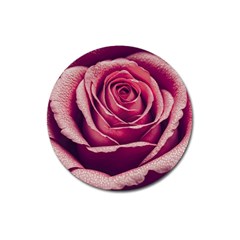 Beautiful Beauty Flower Bloom Magnet 3  (round) by Vaneshop