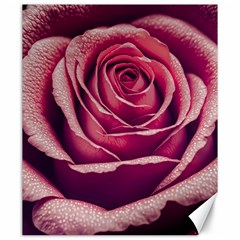 Beautiful Beauty Flower Bloom Canvas 20  X 24  by Vaneshop