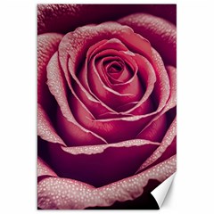 Beautiful Beauty Flower Bloom Canvas 20  X 30  by Vaneshop