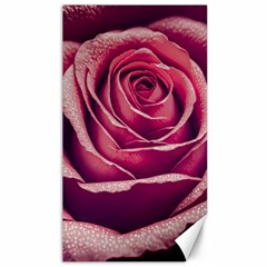 Beautiful Beauty Flower Bloom Canvas 40  X 72 