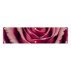 Beautiful Beauty Flower Bloom Banner And Sign 4  X 1  by Vaneshop