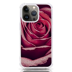 Beautiful Beauty Flower Bloom Iphone 13 Pro Tpu Uv Print Case by Vaneshop