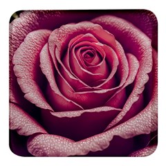 Beautiful Beauty Flower Bloom Square Glass Fridge Magnet (4 Pack) by Vaneshop