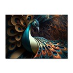 Colorful Peacock Bird Feathers Sticker A4 (10 pack) Front