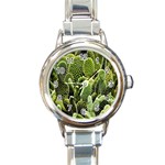 Cactus Flora Flower Nature Floral Round Italian Charm Watch Front