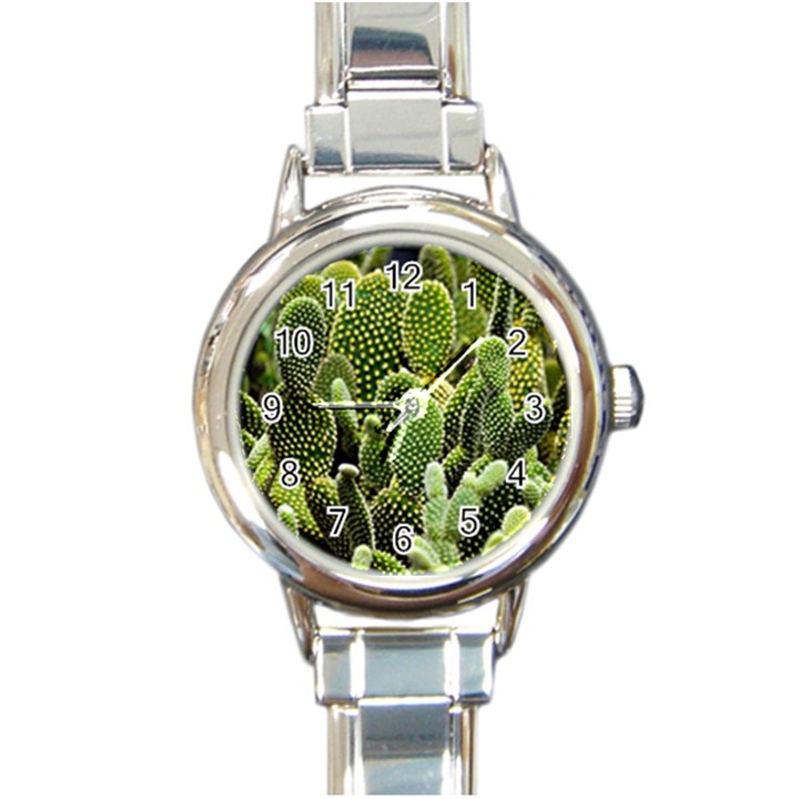 Cactus Flora Flower Nature Floral Round Italian Charm Watch