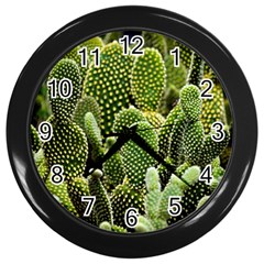 Cactus Flora Flower Nature Floral Wall Clock (black)