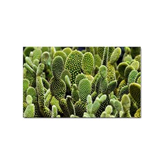 Cactus Flora Flower Nature Floral Sticker (rectangular) by Vaneshop