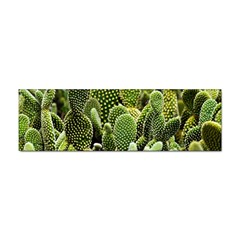 Cactus Flora Flower Nature Floral Sticker (bumper) by Vaneshop