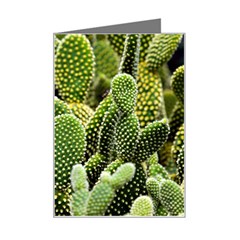 Cactus Flora Flower Nature Floral Mini Greeting Card by Vaneshop