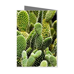 Cactus Flora Flower Nature Floral Mini Greeting Cards (pkg Of 8) by Vaneshop