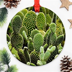 Cactus Flora Flower Nature Floral Round Ornament (two Sides) by Vaneshop