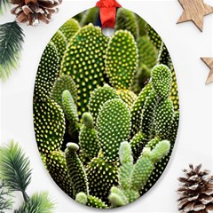 Cactus Flora Flower Nature Floral Oval Ornament (two Sides) by Vaneshop