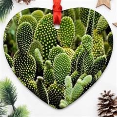 Cactus Flora Flower Nature Floral Heart Ornament (two Sides) by Vaneshop