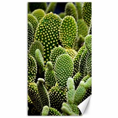 Cactus Flora Flower Nature Floral Canvas 40  X 72 