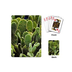 Cactus Flora Flower Nature Floral Playing Cards Single Design (mini) by Vaneshop